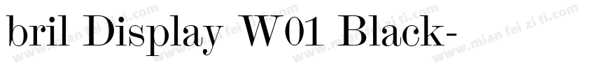 bril Display W01 Black字体转换